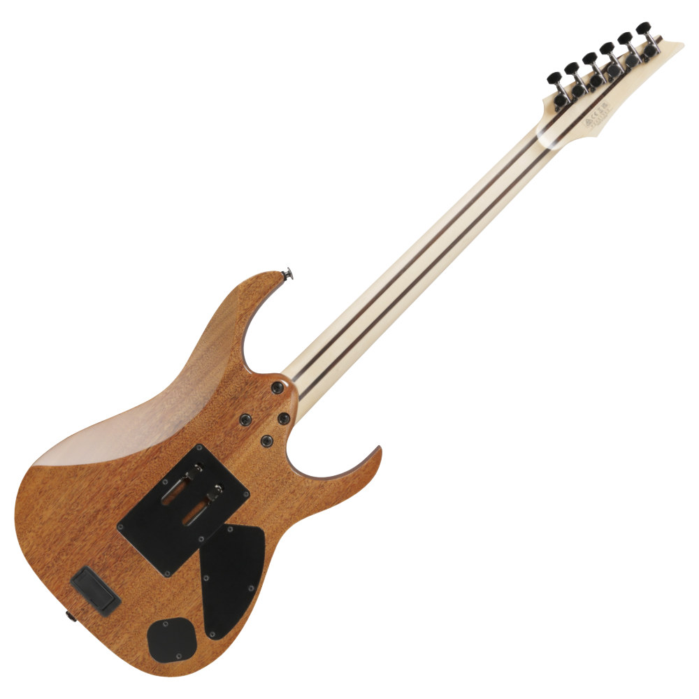 IBANEZ アイバニーズ Prestige RG5120ML-FCN Frozen Ocean レフティ 左利き用 エレキギター バック画像