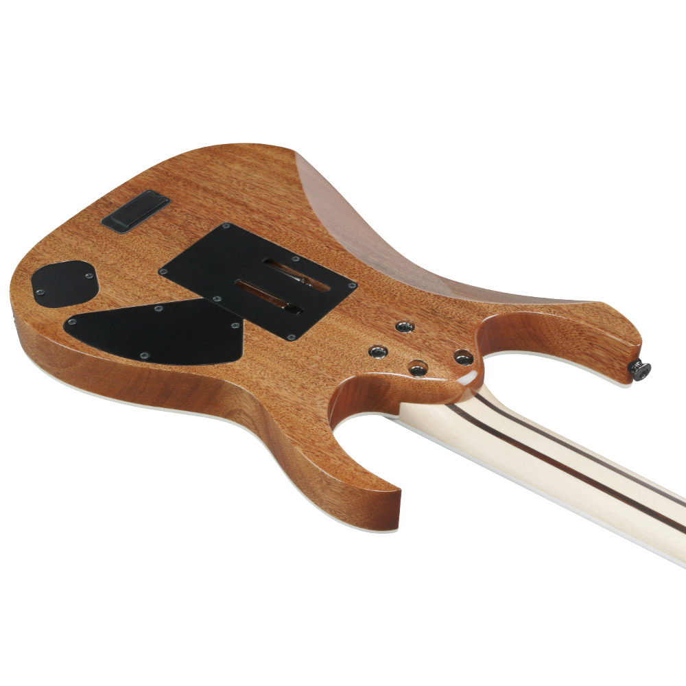 IBANEZ アイバニーズ Prestige RG5120ML-FCN Frozen Ocean レフティ 左利き用 エレキギター ボディバック斜め画像