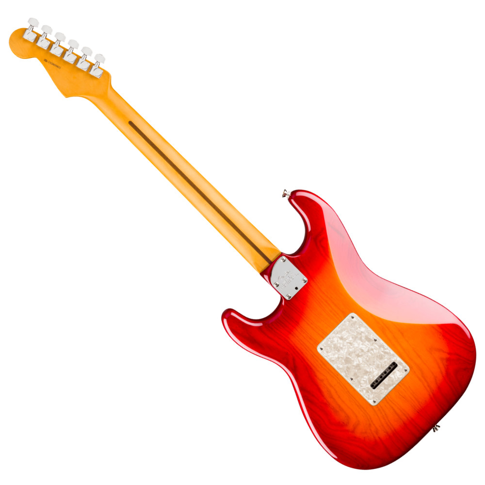 Fender フェンダー American Professional Stratocaster MN Aged Cherry Burst エレキギター ストラトキャスター バック画像