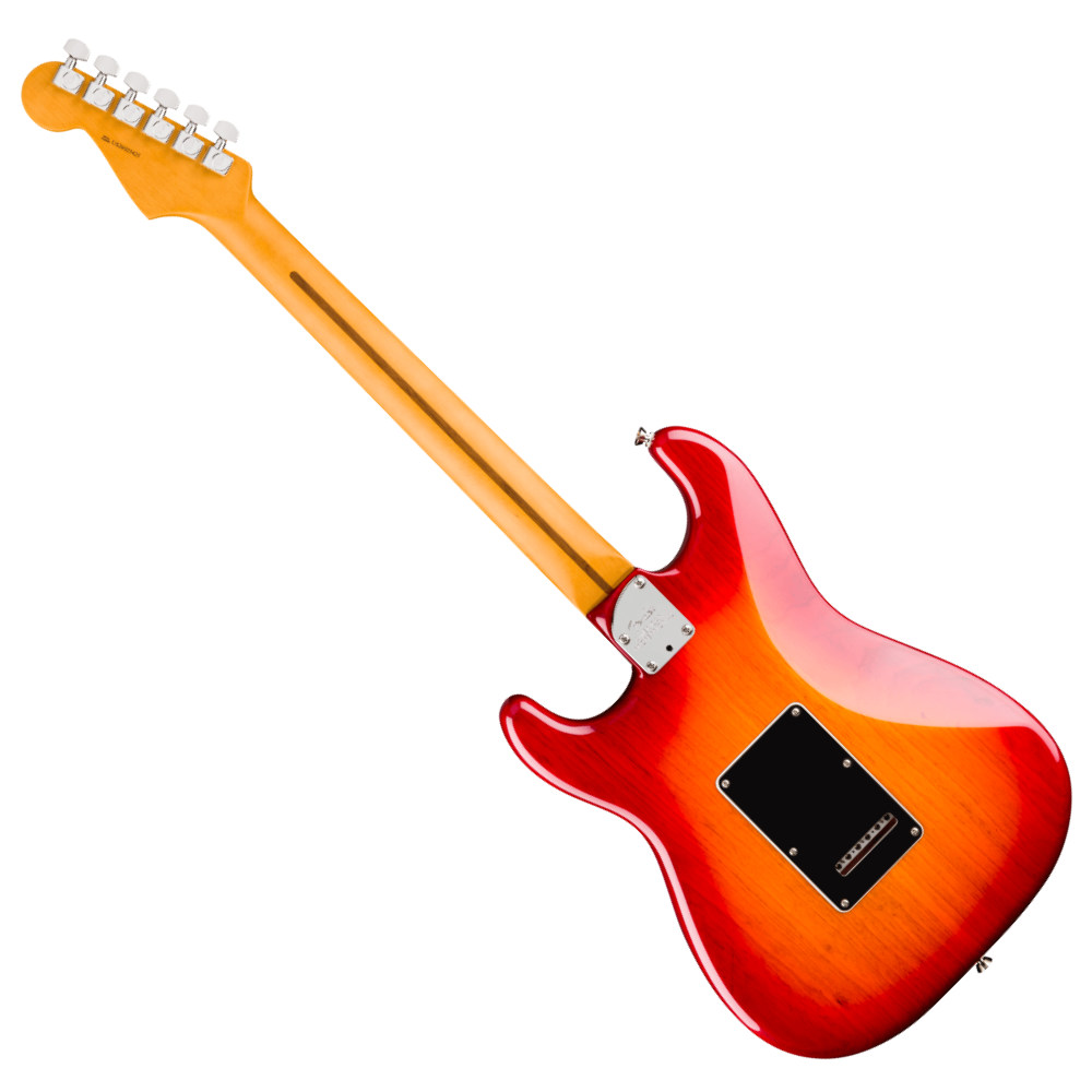 Fender フェンダー American Professional Stratocaster HSS RW Aged Cherry Burst エレキギター ストラトキャスター バック画像
