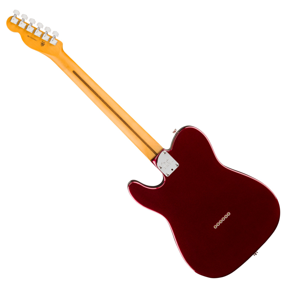 Fender フェンダー American Professional Telecaster RW Oxblood エレキギター テレキャスター バック画像