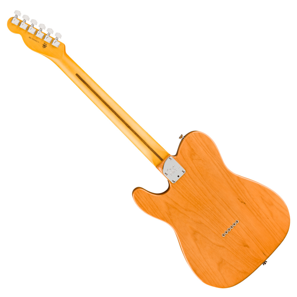 Fender フェンダー American Professional Telecaster MN Natural エレキギター テレキャスター バック画像