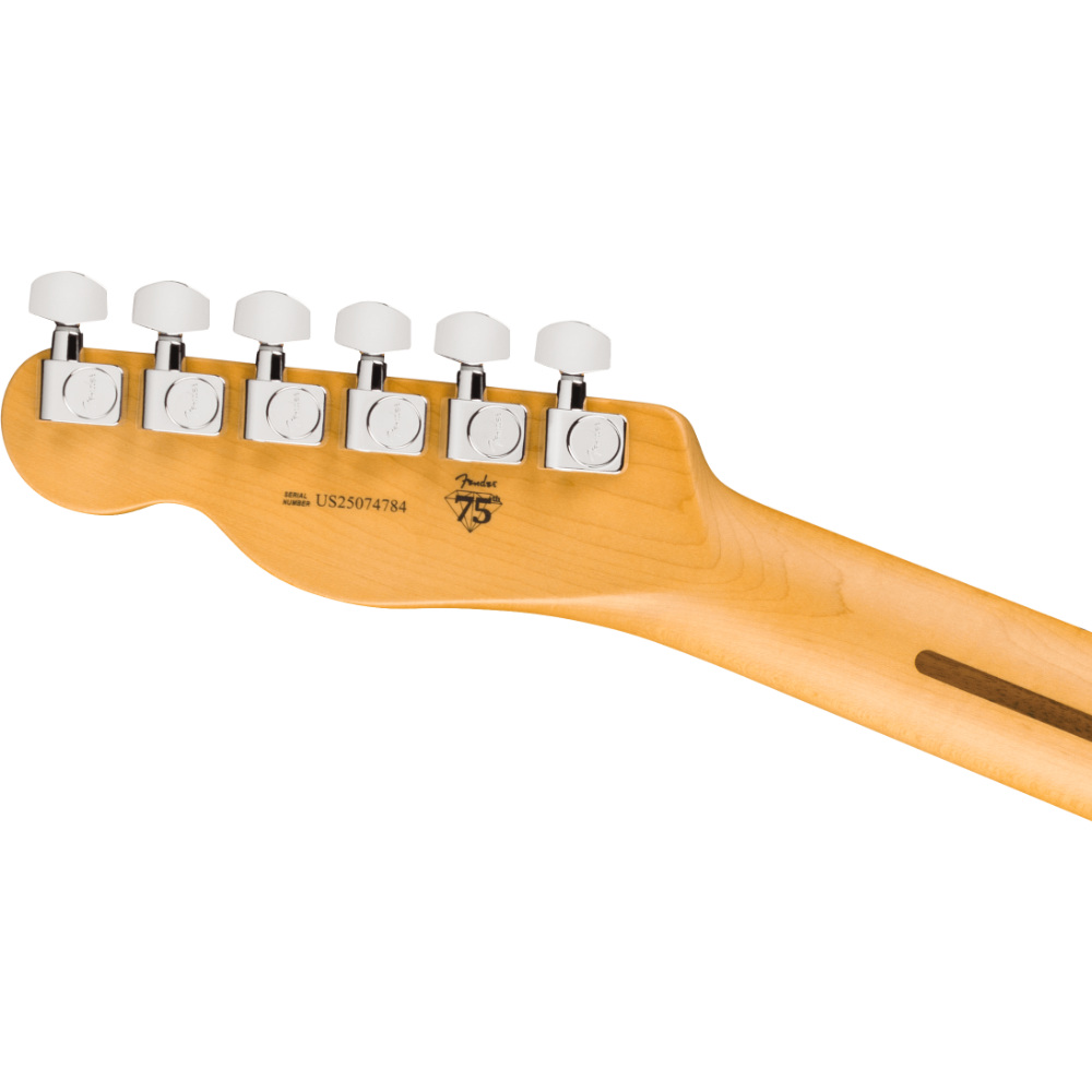 Fender フェンダー American Professional Telecaster MN Butterscotch Blonde エレキギター テレキャスター ヘッドバック画像