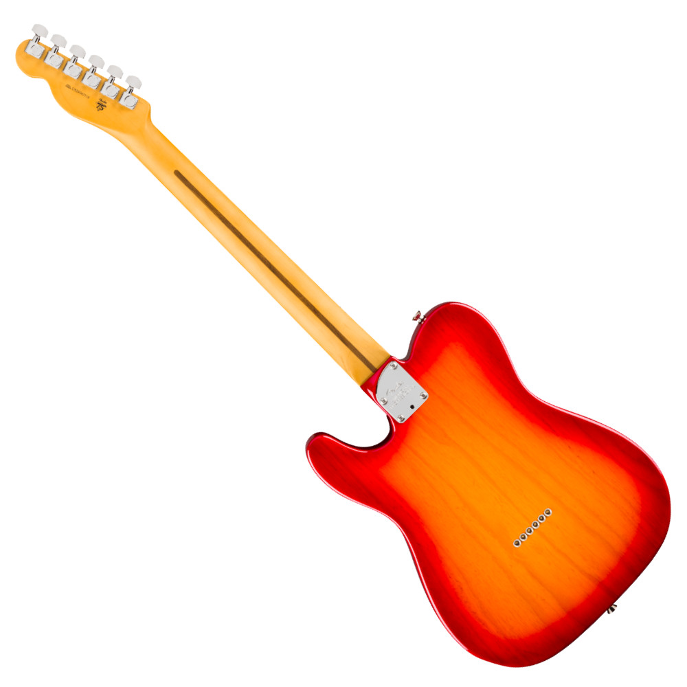 Fender フェンダー American Professional Hot Shot Telecaster MN Aged Cherry Burst エレキギター テレキャスター バック画像