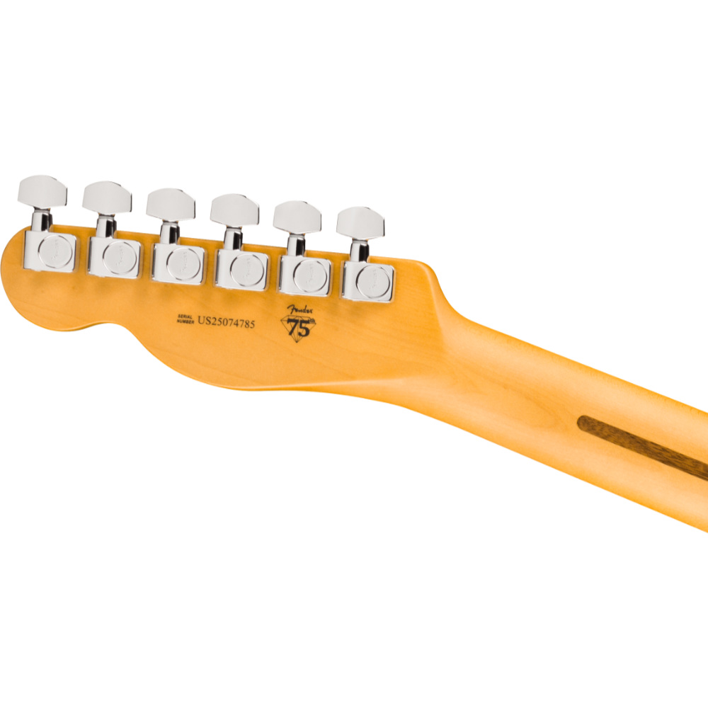 Fender フェンダー American Professional Hot Shot Telecaster MN Butterscotch Blonde エレキギター テレキャスター ヘッドバック画像