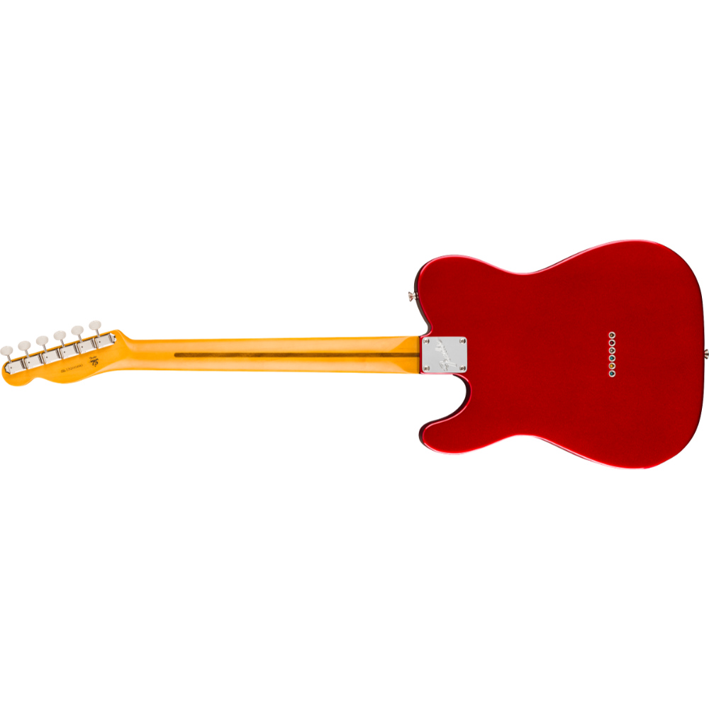 Fender フェンダー American Professional Classic Telecaster Silent System RW CAR エレキギター ボディバック
