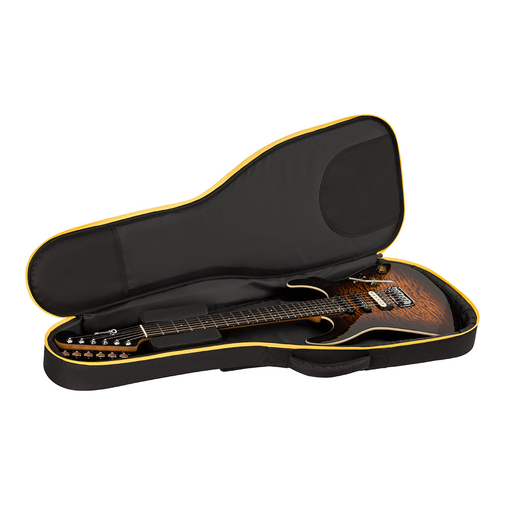 Charvel シャーベル Pro-Mod Plus Dinky DK24 HSS 2PT EB QM Amber Tiger Eye エレキギター ケース収納時