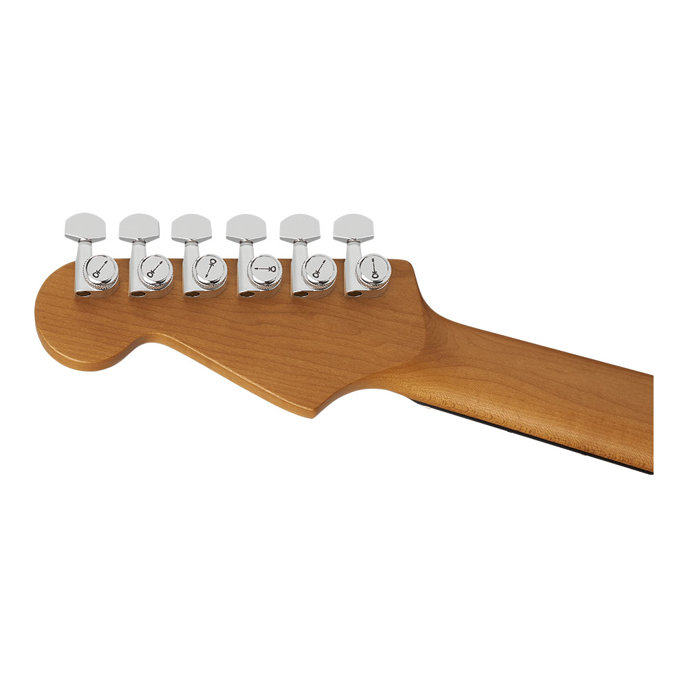 Charvel シャーベル Pro-Mod Plus Dinky DK24 HSS 2PT EB QM Amber Tiger Eye エレキギター ヘッド