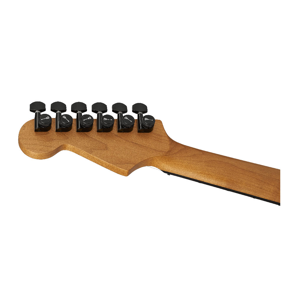 Charvel シャーベル Pro-Mod Plus Dinky DK24 HH HT EB Black Ash エレキギター ヘッド