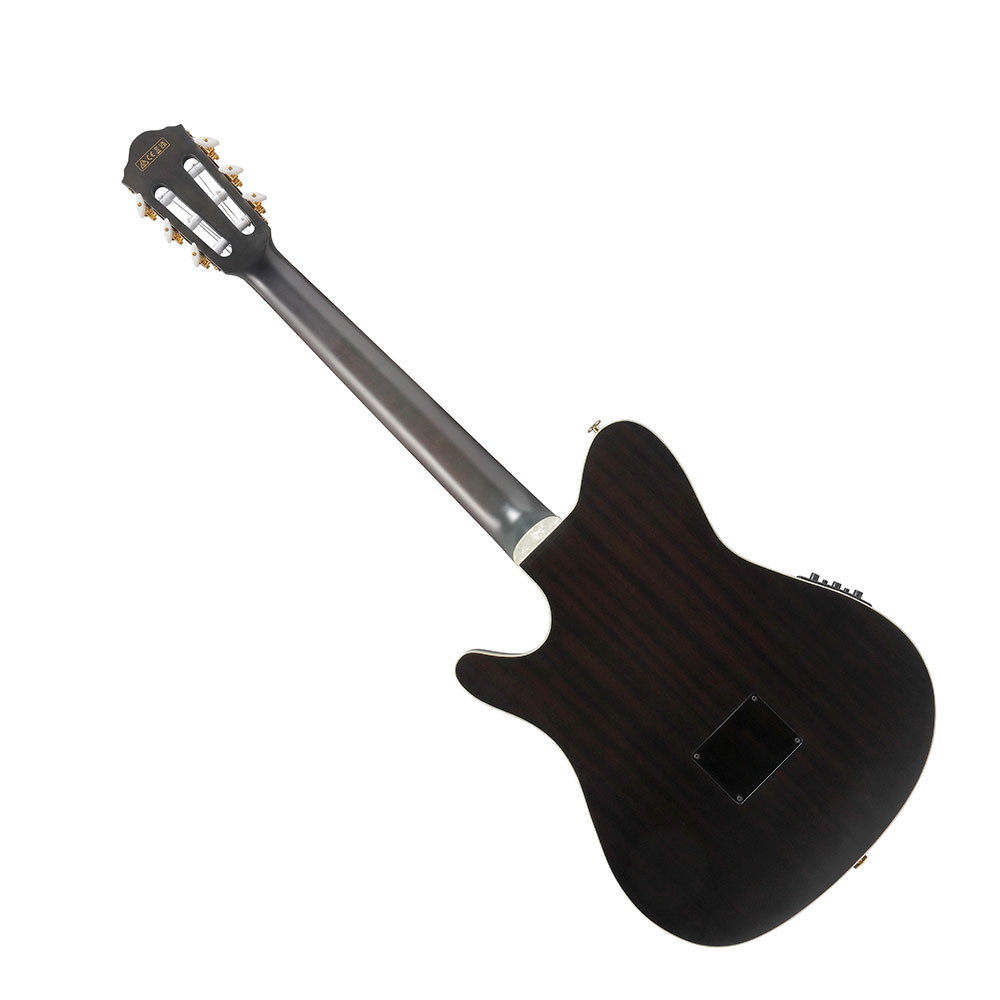IBANEZ アイバニーズ TOD20FMN-BFL エレガットギター 背面