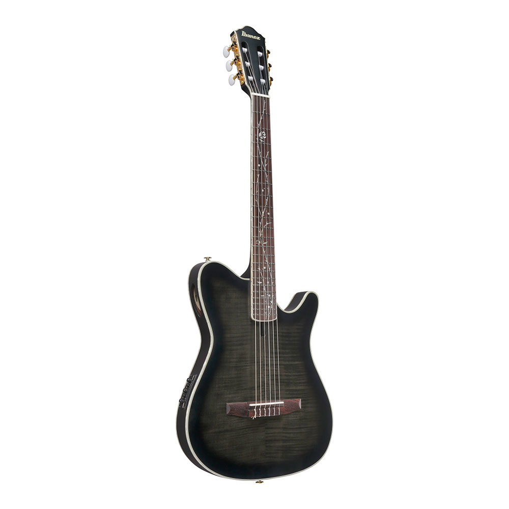 IBANEZ アイバニーズ TOD20FMN-BFL エレガットギター 全体