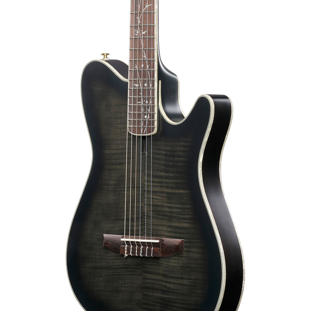 IBANEZ アイバニーズ TOD20FMN-BFL エレガットギター ボディ