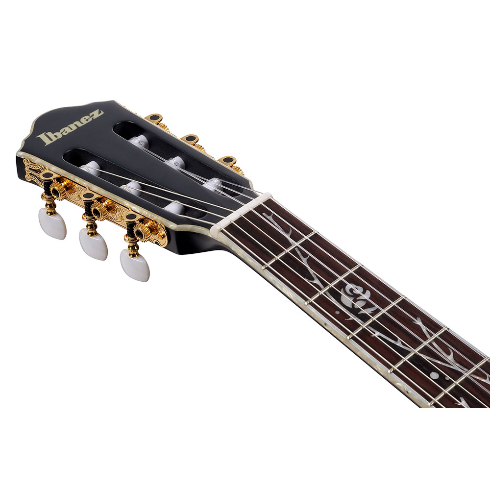 IBANEZ アイバニーズ TOD20FMN-BFL エレガットギター ヘッド