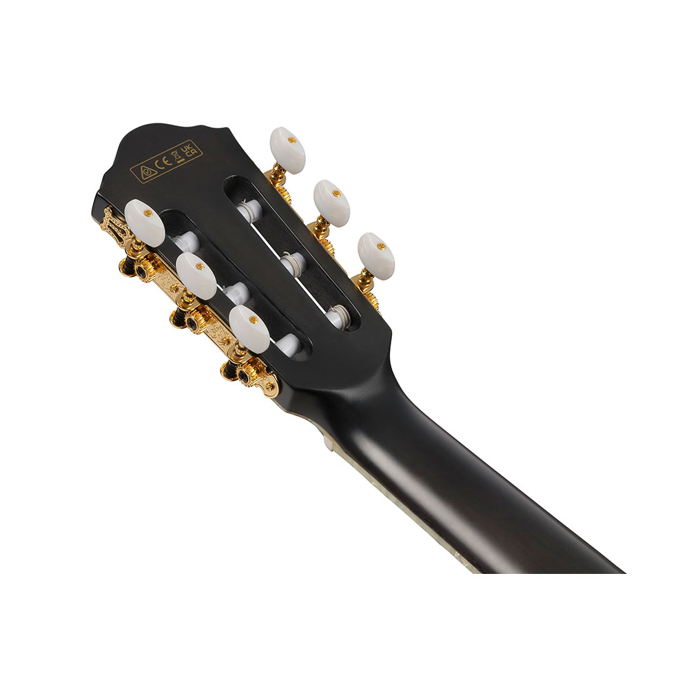 IBANEZ アイバニーズ TOD20FMN-BFL エレガットギター ヘッド