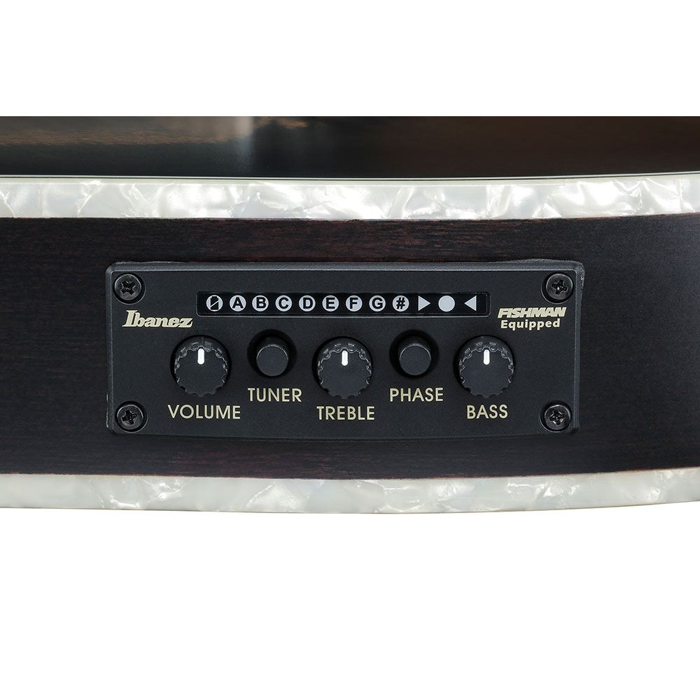 IBANEZ アイバニーズ TOD20FMN-BFL エレガットギター コントロール