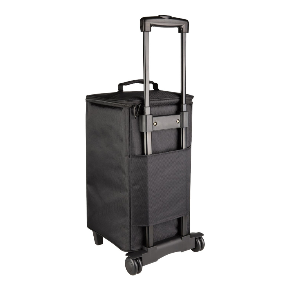 NUX ニューエックス NBA-200FR Busking 200FR w/ Trolley Bag 大容量リチウムバッテリー内蔵 FRFRスピーカー 専用キャリーバッグ付き 付属ケースリア画像
