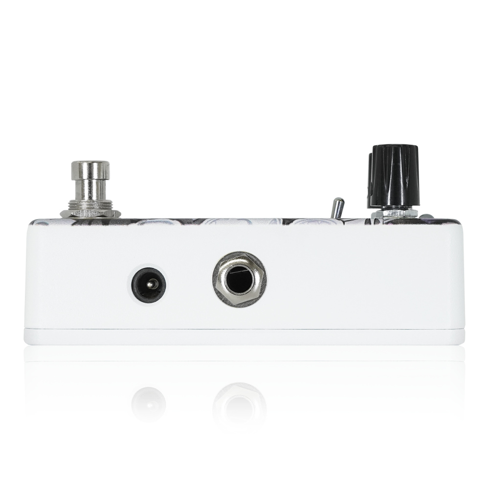 Animals Pedal アニマルズペダル Custom Illustrated DSMIIF ちゃっぴー #01 オートワウ フィルター ギターエフェクター サイド画像