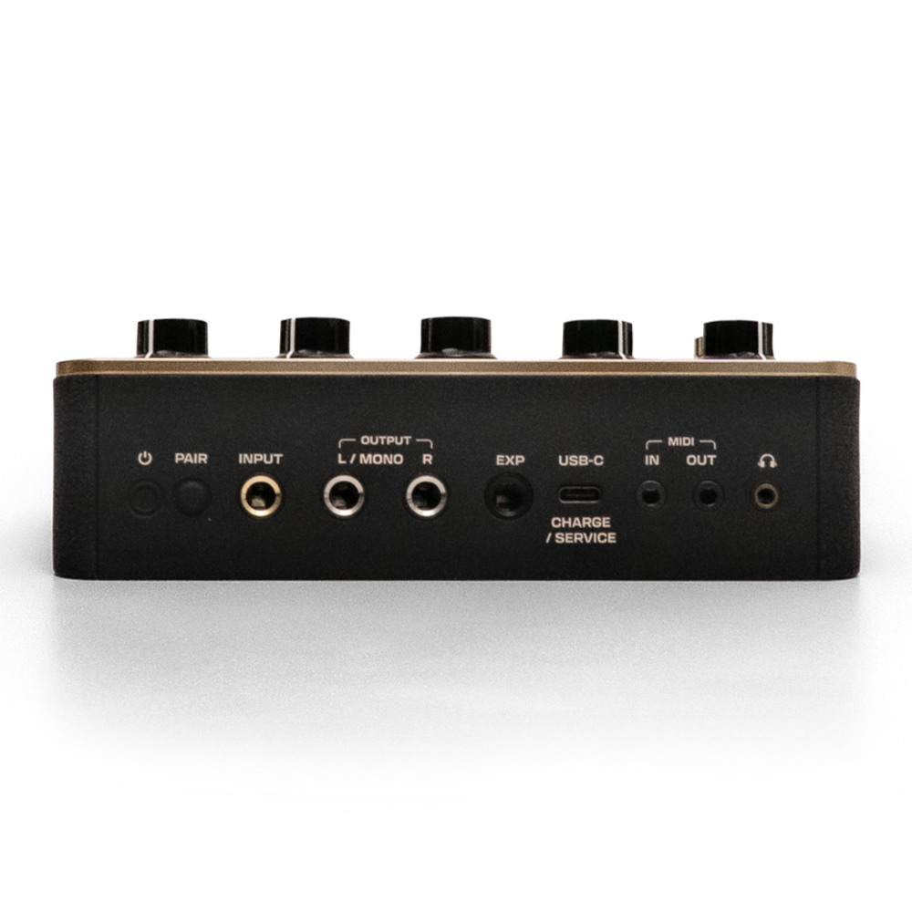 Positive Grid ポジティブグリッド Spark PEDAL アンプリグ エフェクトプロセッサー ルーパー フットペダル リア画像