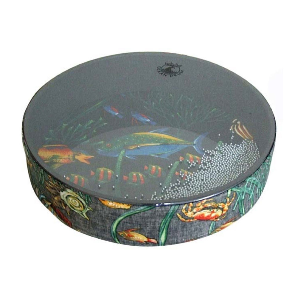 【訳あり】 REMO オーシャンドラム LREMET021210 12"×2 1/2" アウトレット