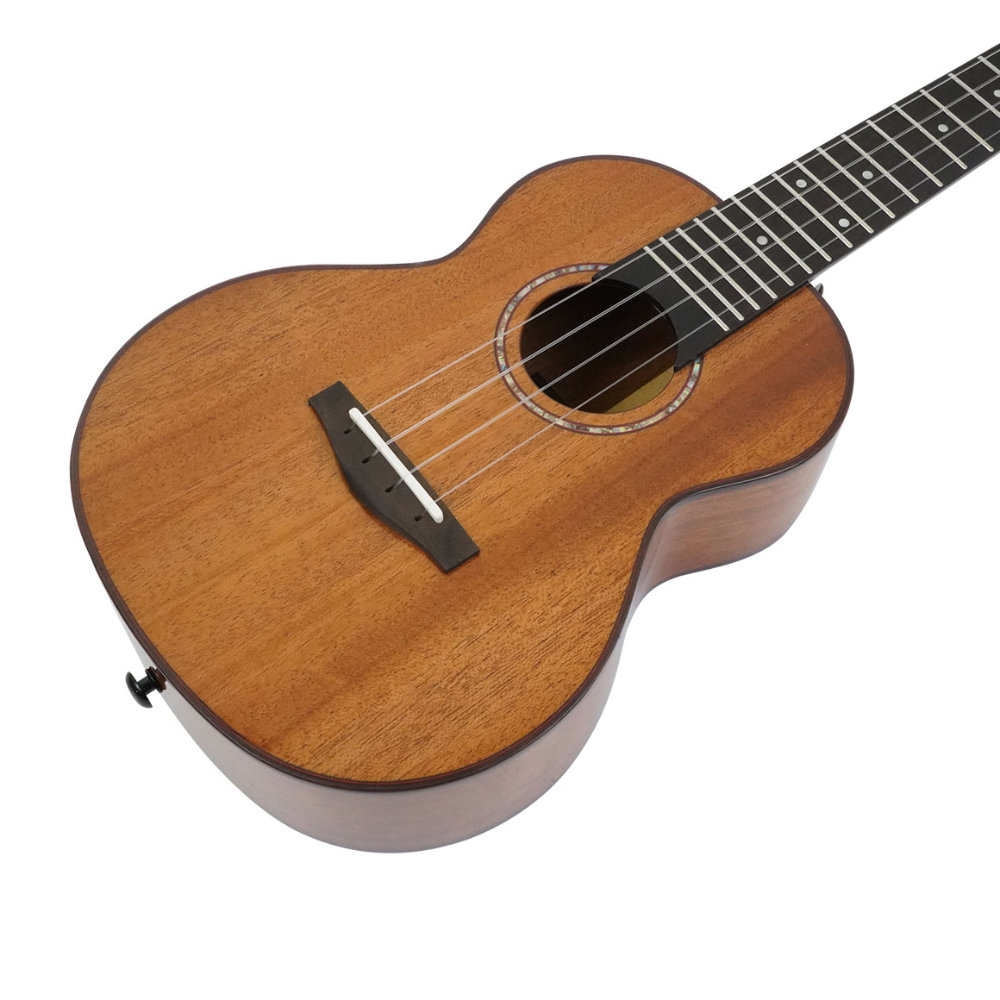 Real Sun リアルサン RS-AC100 RealSun Ukulele Mahogany Con コンサートウクレレ ボディ