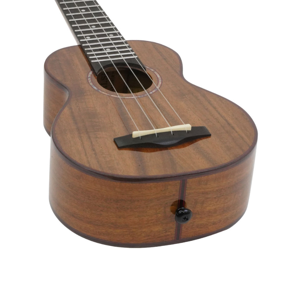 Real Sun リアルサン RS-AS200 RealSun Ukulele Acacia Sop ソプラノウクレレ 底面