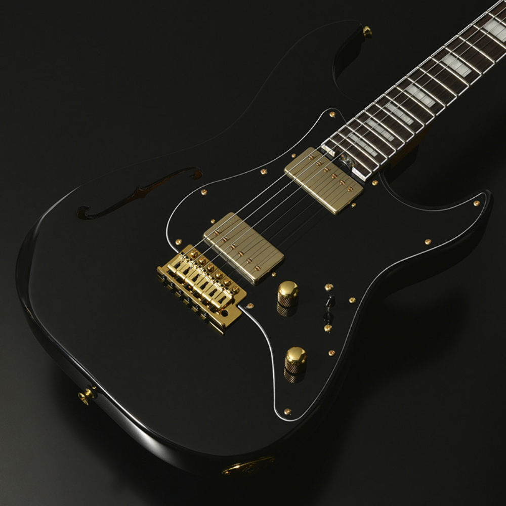 BACCHUS バッカス Global Series GS-HOLLOW-CTM BLK エレキギター ボディ部