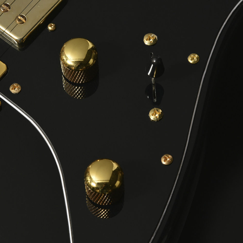 BACCHUS バッカス Global Series GS-HOLLOW-CTM BLK エレキギター コントロール部
