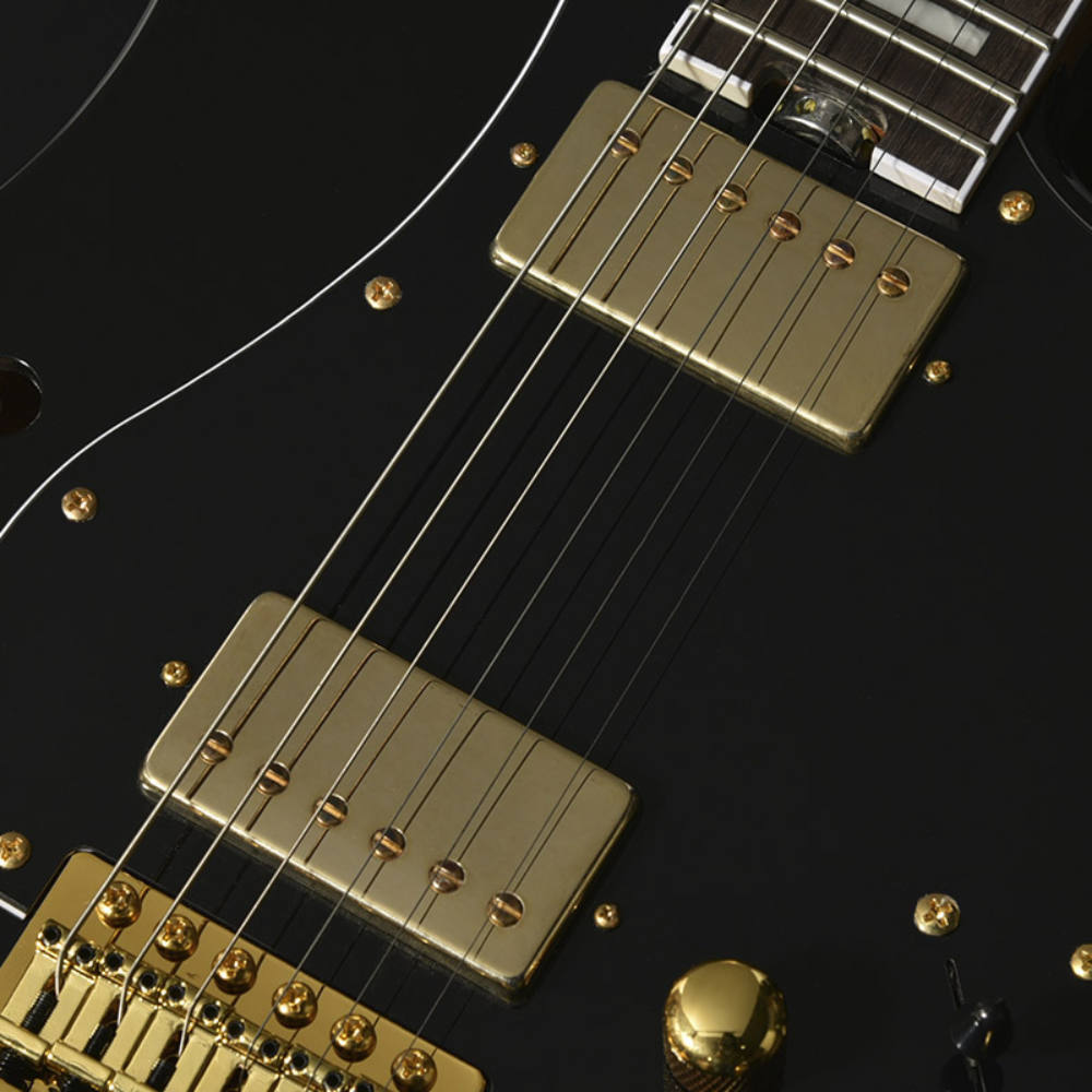 BACCHUS バッカス Global Series GS-HOLLOW-CTM BLK エレキギター ピックアップ部