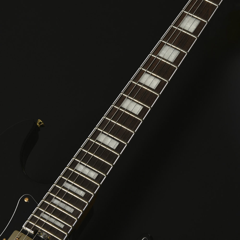 BACCHUS バッカス Global Series GS-HOLLOW-CTM BLK エレキギター ネック部