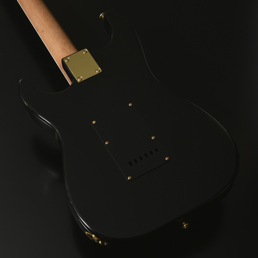 BACCHUS バッカス Global Series GS-HOLLOW-CTM BLK エレキギター ボディ部裏