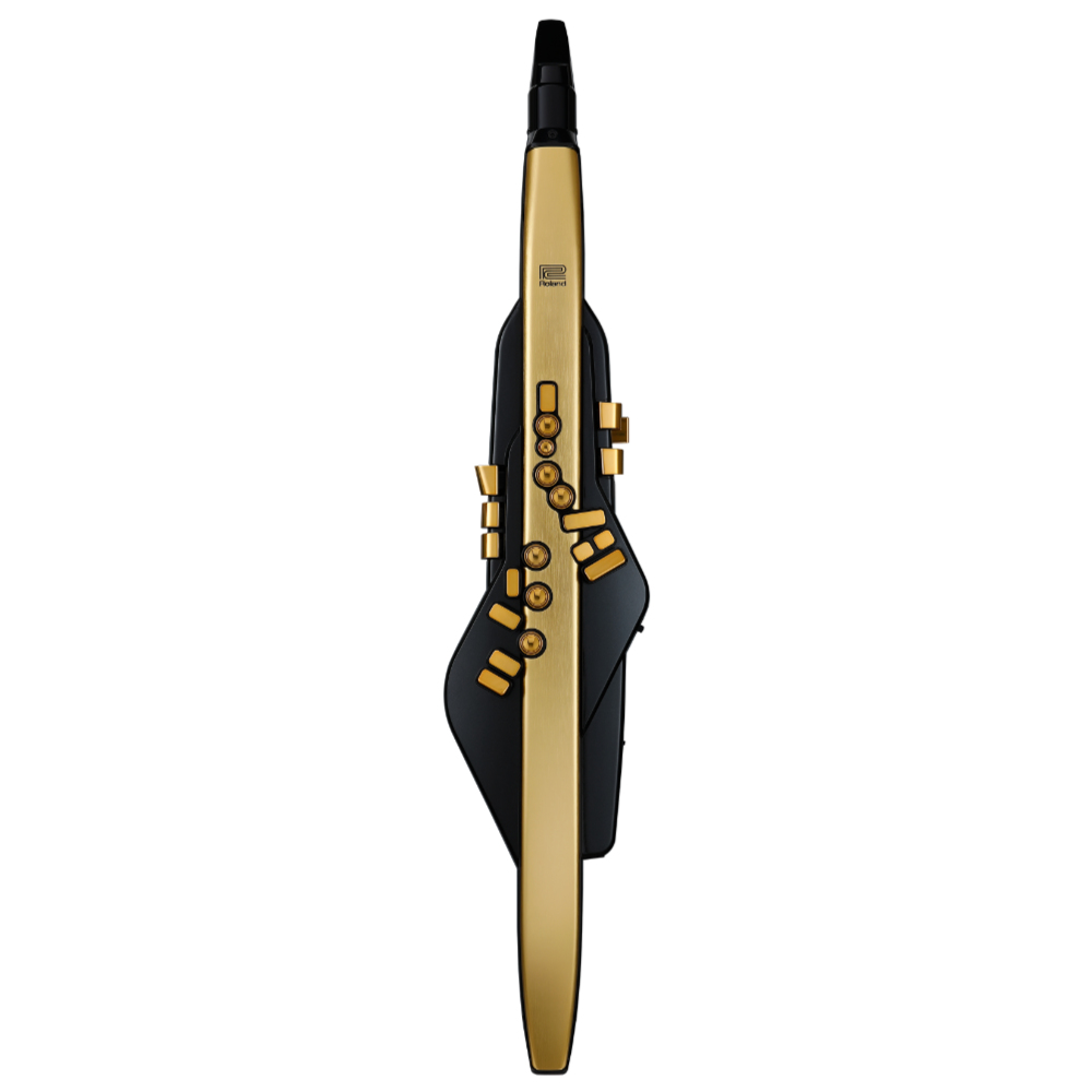 ROLAND AE-30A Aerophone Pro Gold Limited Edition ウィンドシンセサイザー エアロフォン 10周年限定アニバーサリー ゴールド仕様 フロント画像