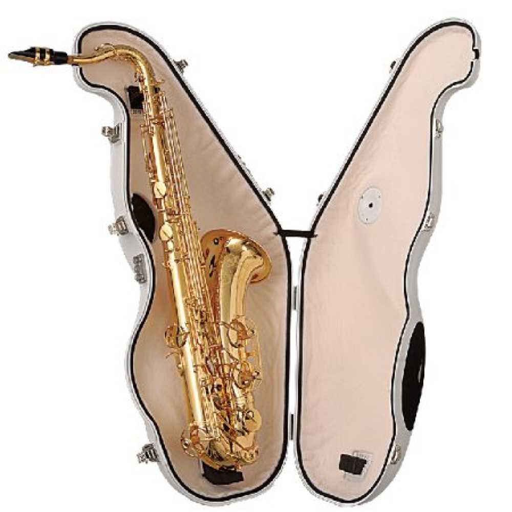 BEST BRASS e-SAX テナーサックス用 ES2-TS BEST BRASS e-sax for Tenor ES2-TS テナーサックス用消音器(ベスト