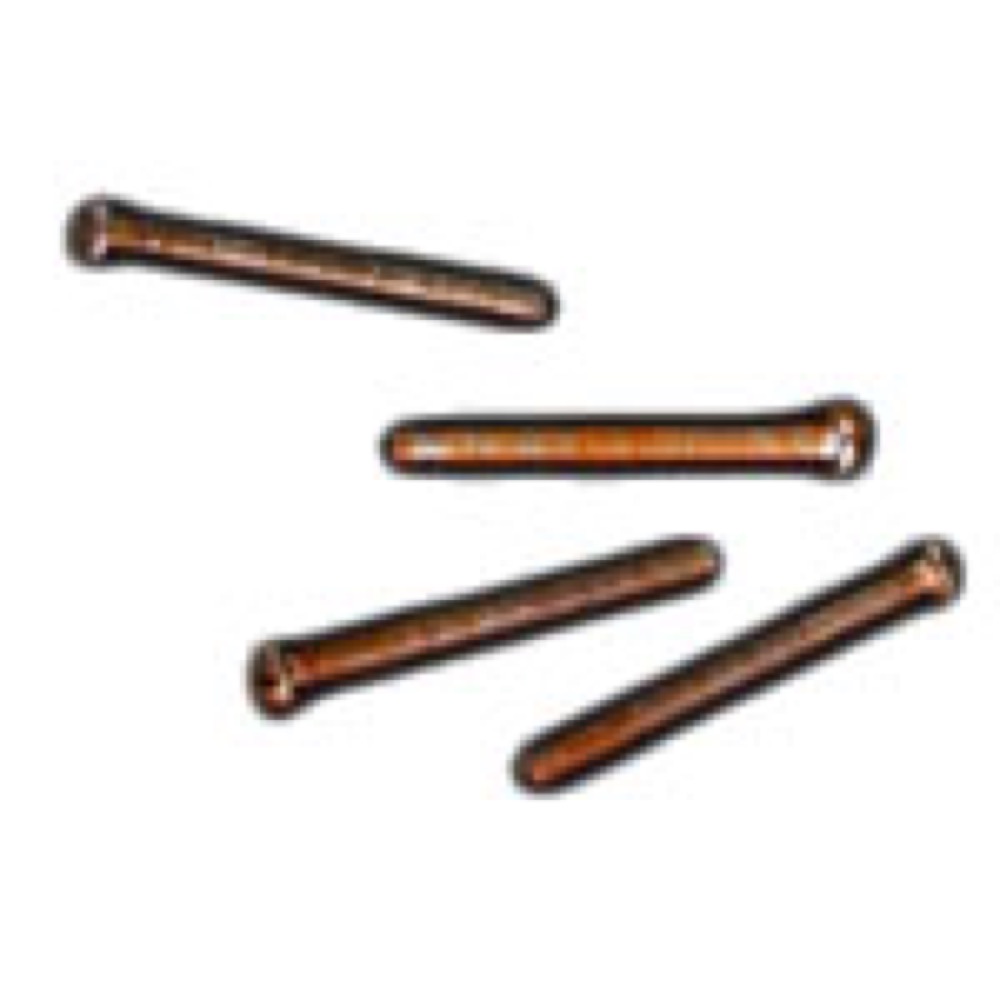 RS LG-PUS AGED PARTS for LP-Type ピックアップアジャストスクリュー