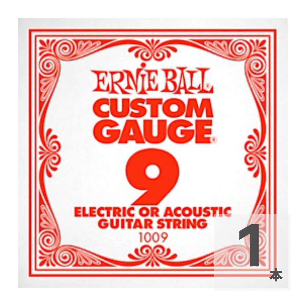 ERNIE BALL 1009 ギター用バラ弦