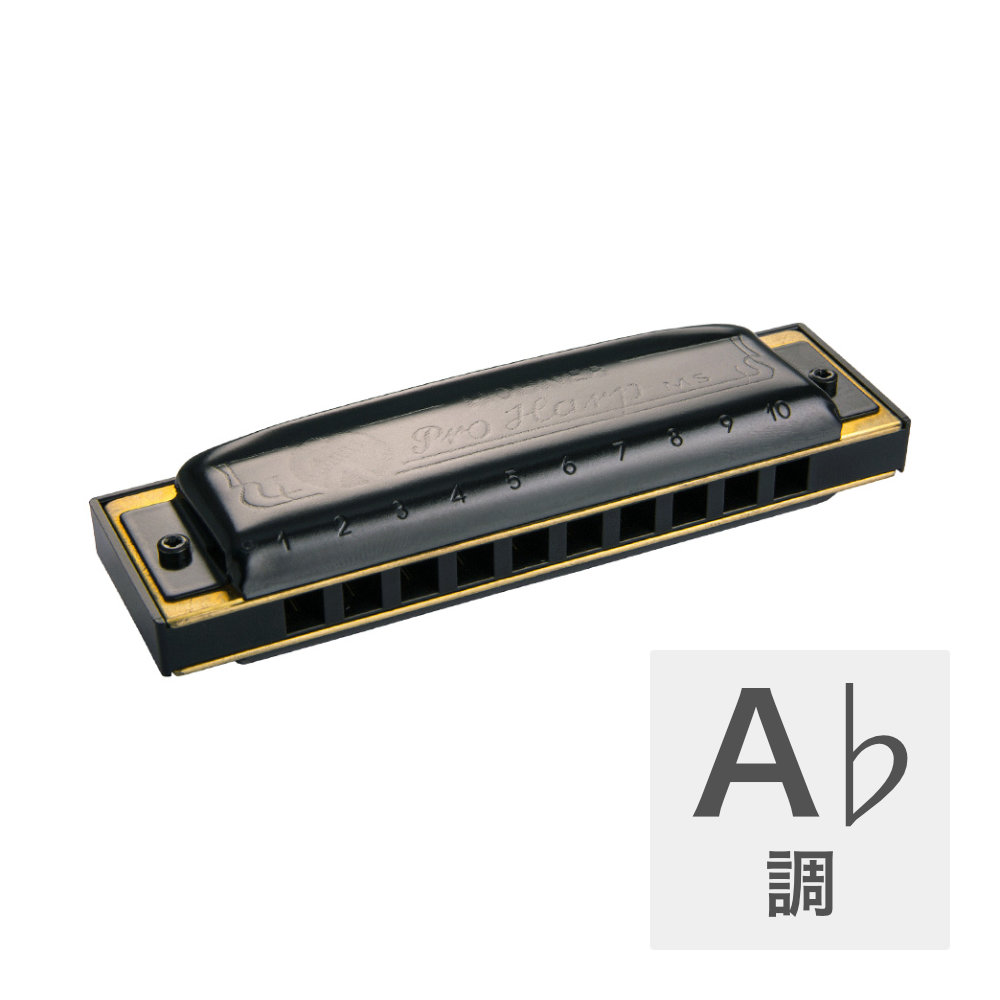 HOHNER Pro Harp MS X 562/20MSX A♭ 10ホールハーモニカ