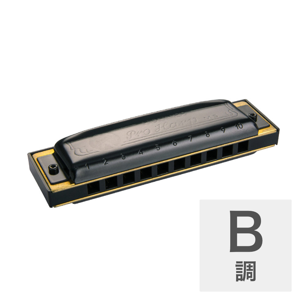 HOHNER Pro Harp MS X 562/20MSX B 10ホールハーモニカ