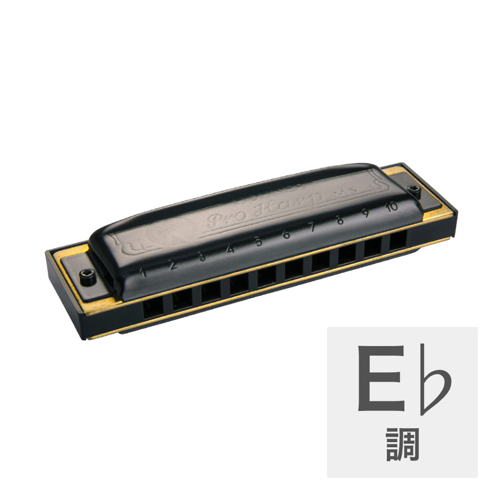 HOHNER Pro Harp MS X 562/20MSX E♭ 10ホールハーモニカ