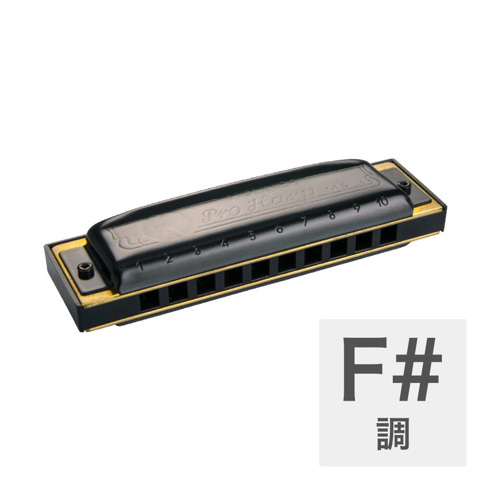 HOHNER Pro Harp MS X 562/20MSX F# 10ホールハーモニカ