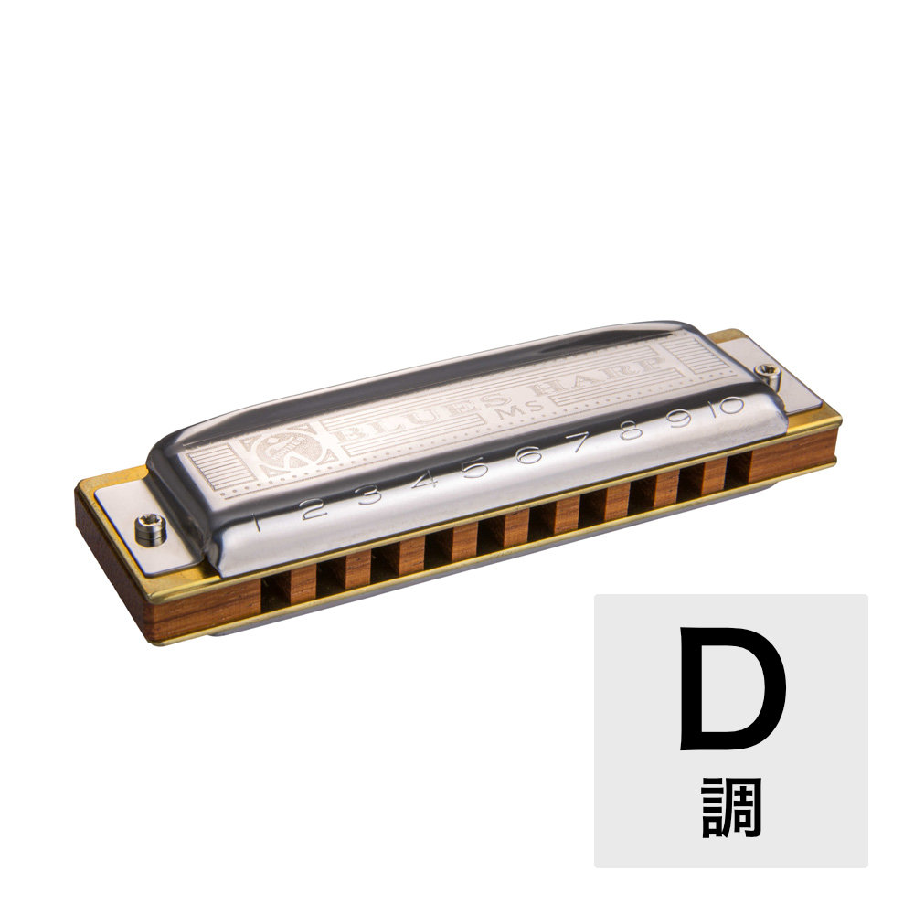 HOHNER Blues Harp MS X 532/20MSX D ブルースハープ