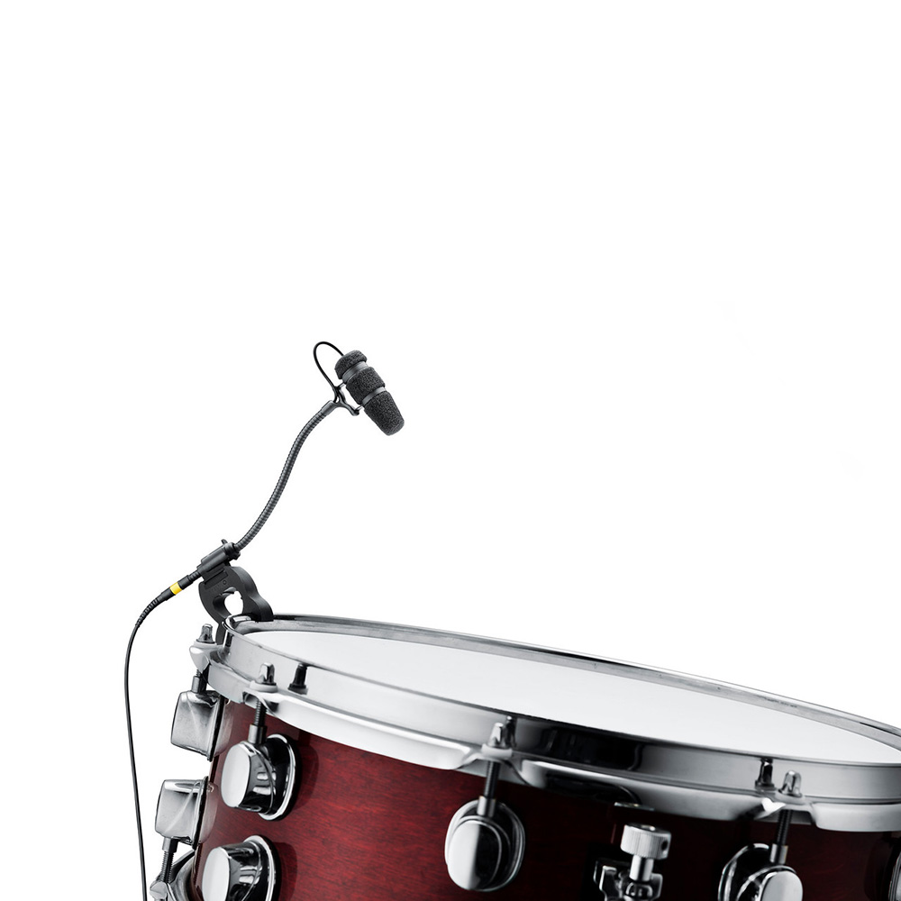 ※楽器は付属しません。