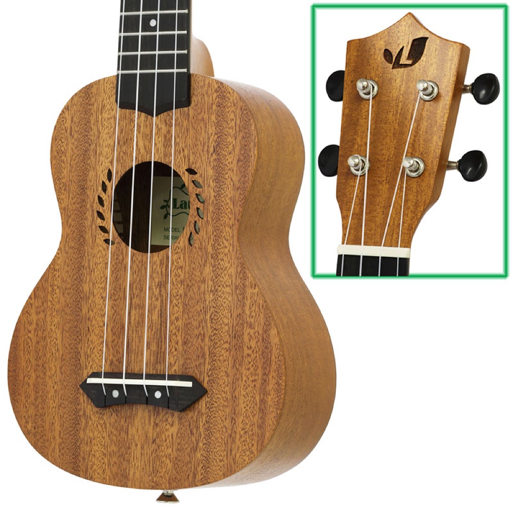 ボディ＆ヘッド