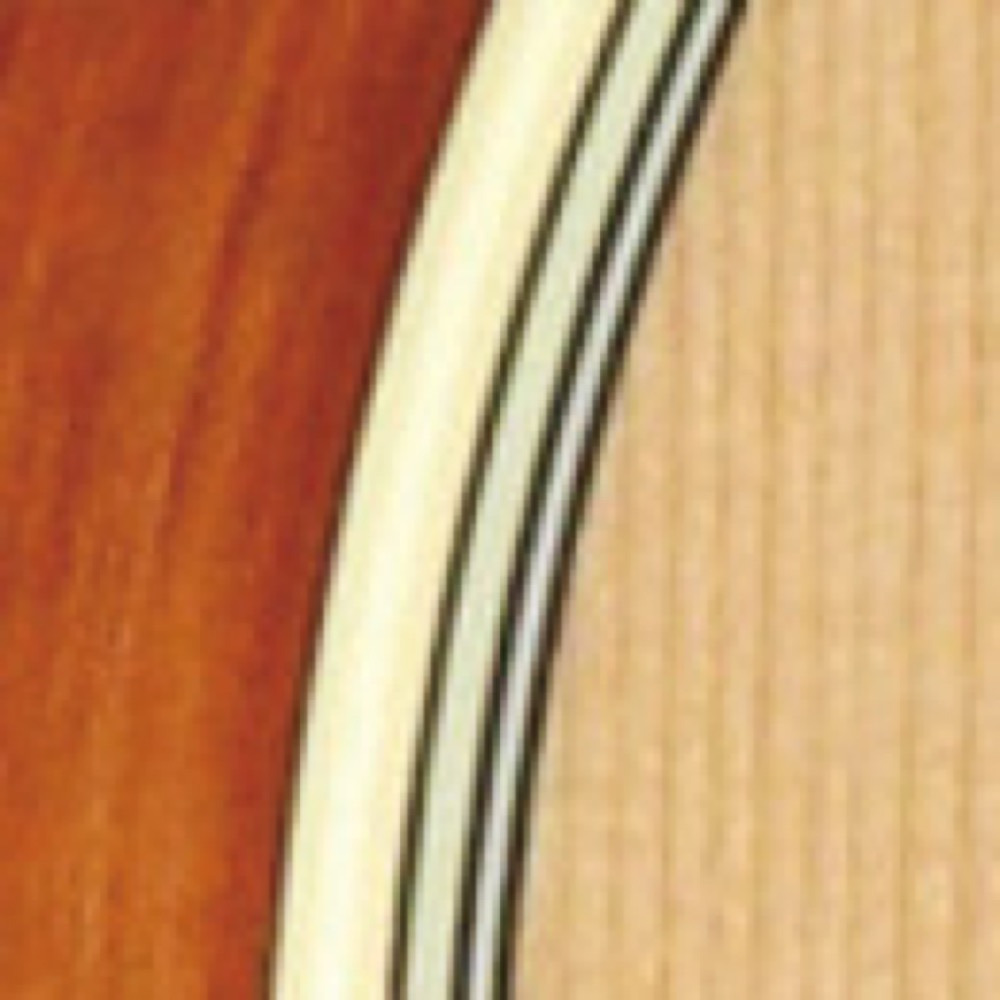 エレクトリックアコースティックギター(タカミネ　N　エレアコ　TAKAMINE　専用ギグバッグ付)　700シリーズ　PTU731KC　オーディトリアム　web総合楽器店