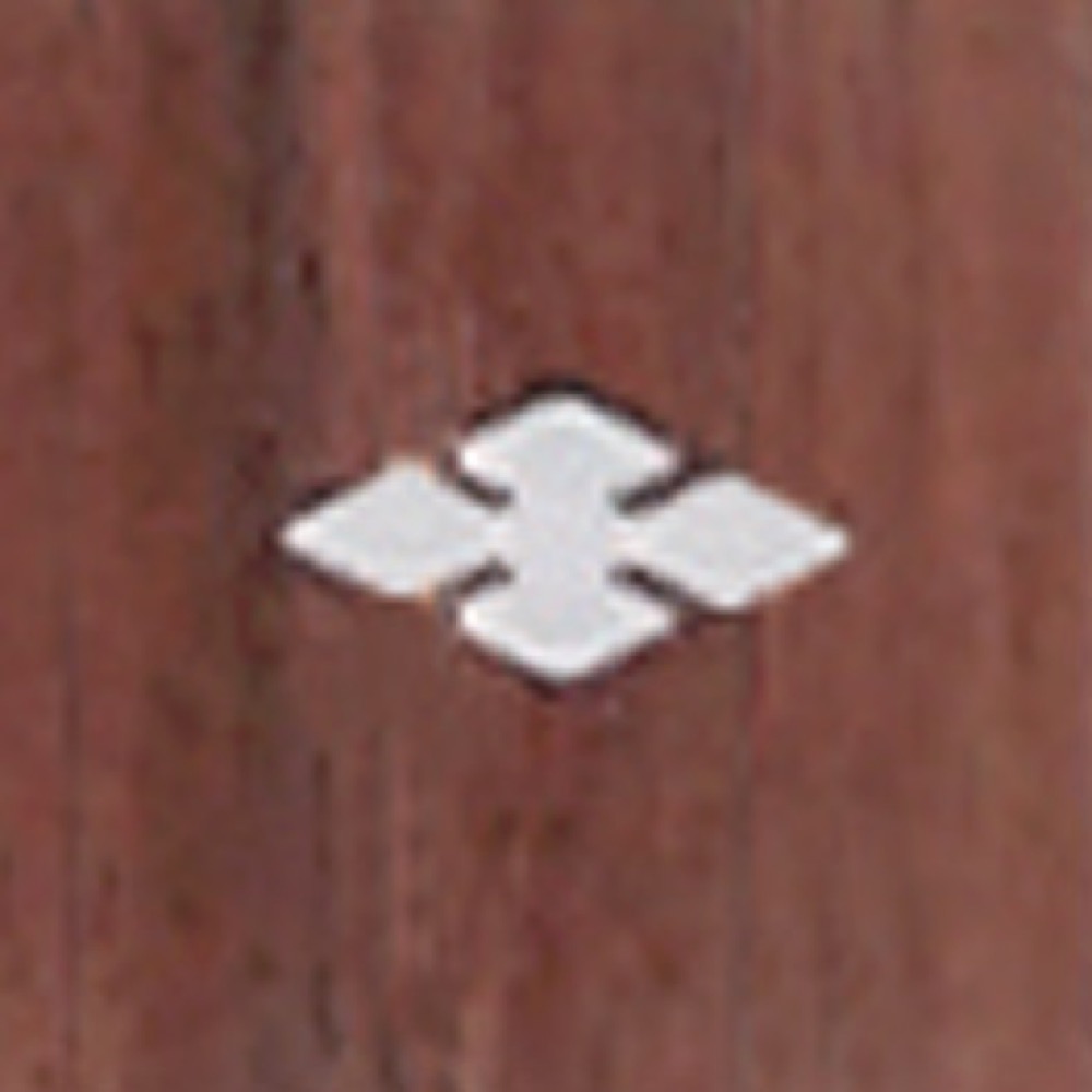 フレットインレイ画像