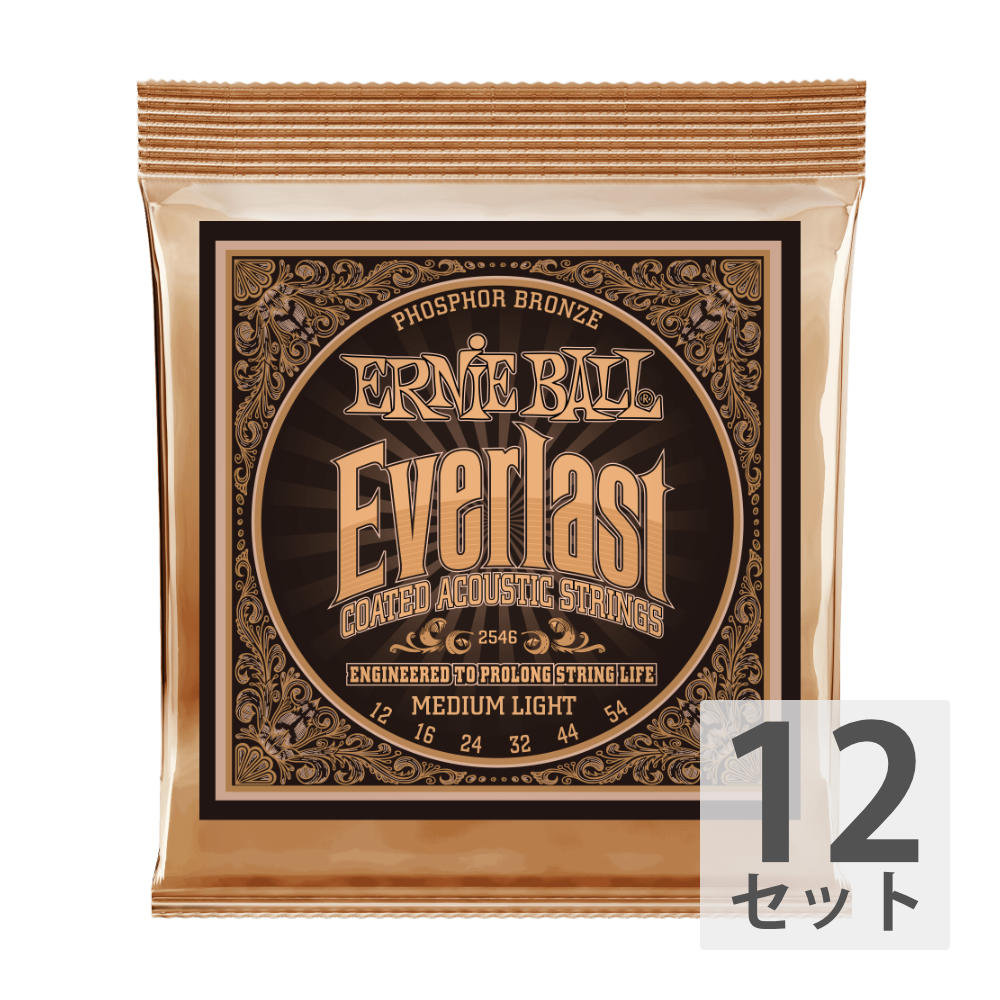 ERNIE BALL 2546 Everlast Coated PHOSPHOR BRONZE MEDIUM LIGHT アコースティックギター弦 ×12セット