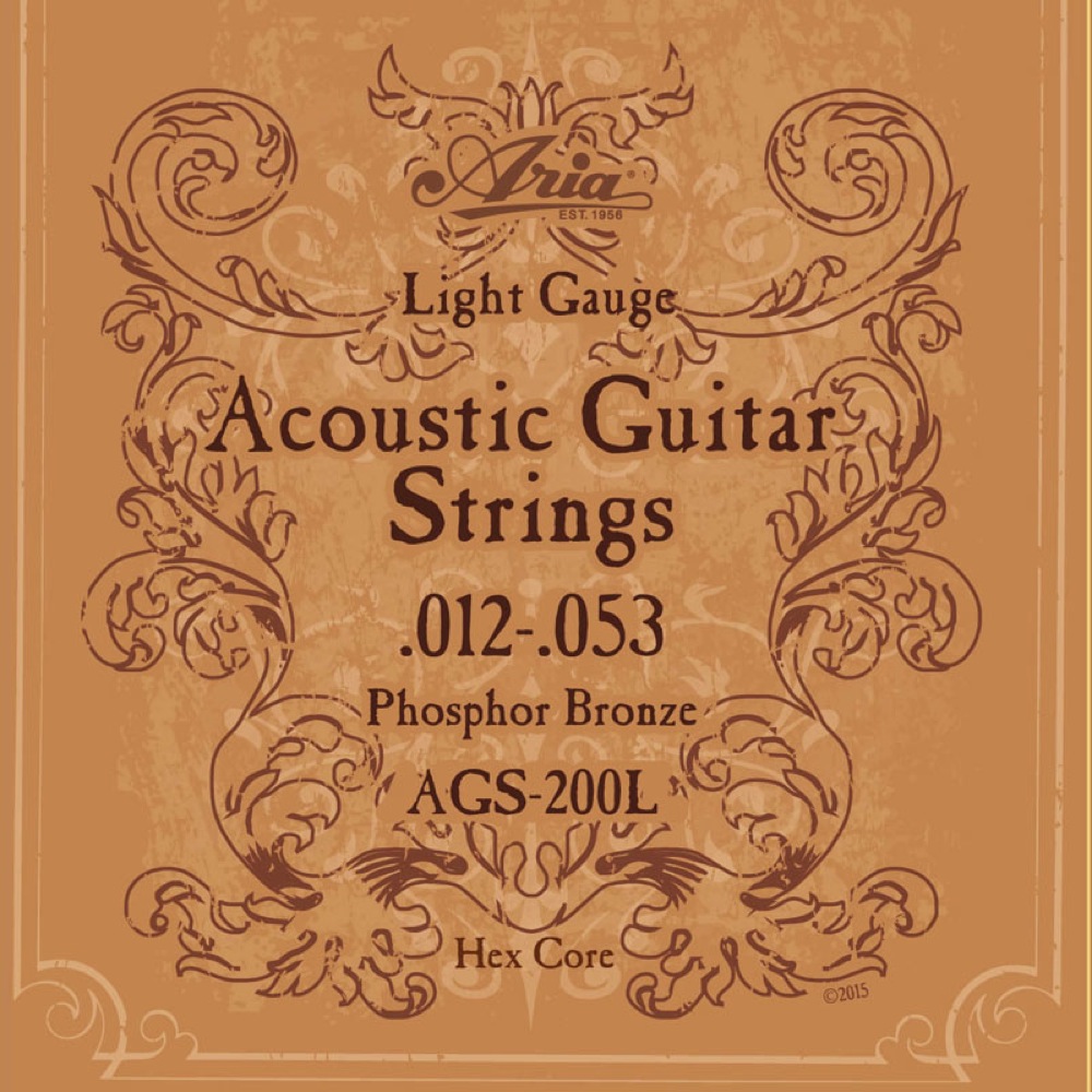 ARIA AGS-200L アコースティックギター弦×6セット