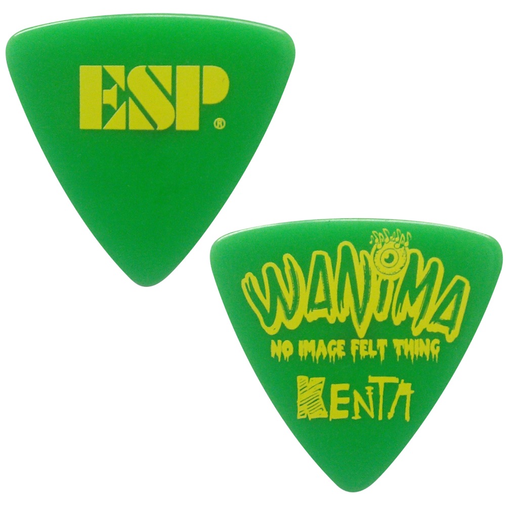 ESP PA-WK10-2 GR WANIMA KENTA PICK ギターピック×10枚