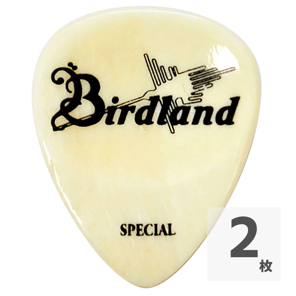 Birdland Buffalo Special Pick Bone ギターピック×2枚