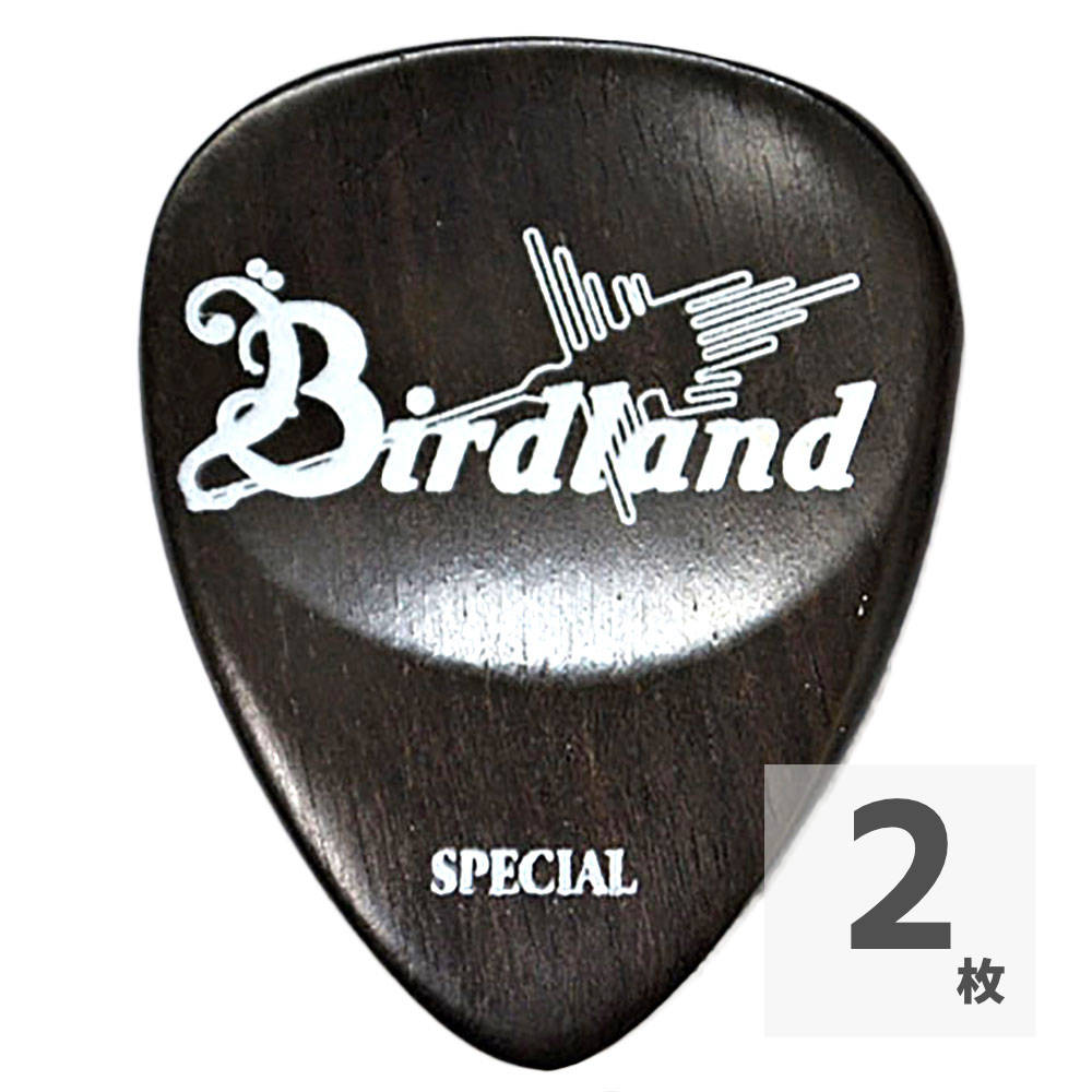 Birdland Ebony Special Pick ギターピック×2枚