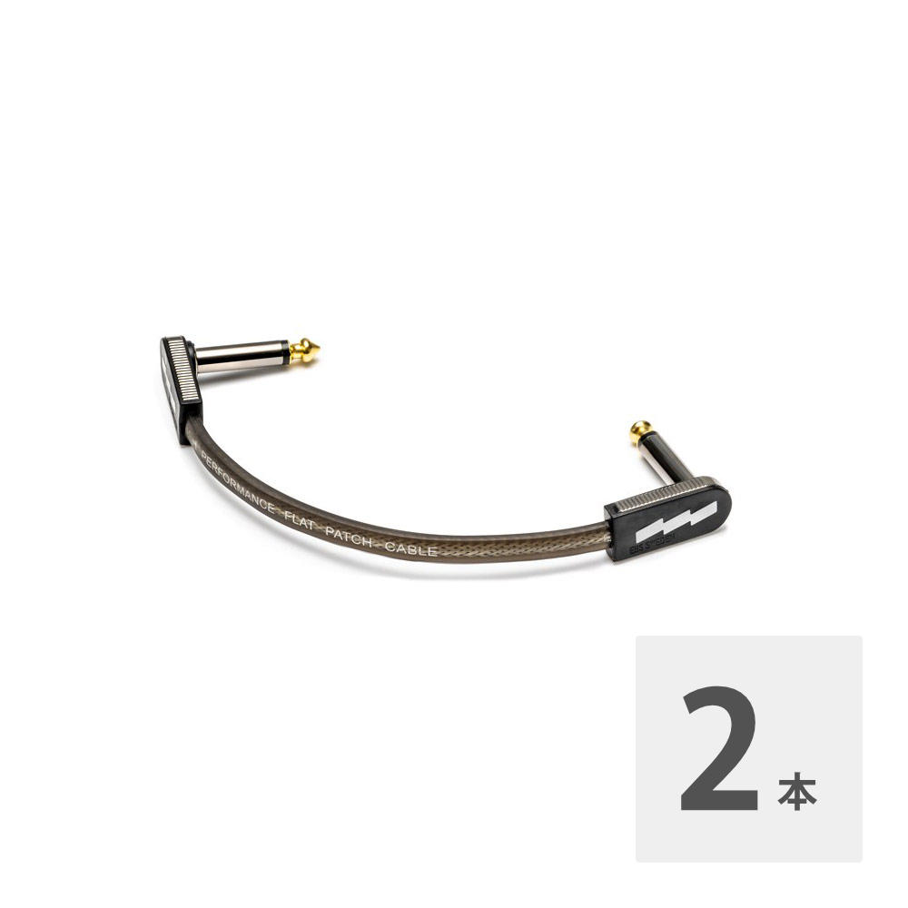 EBS PCF/HP10 10cm LL フラットパッチケーブル×2本