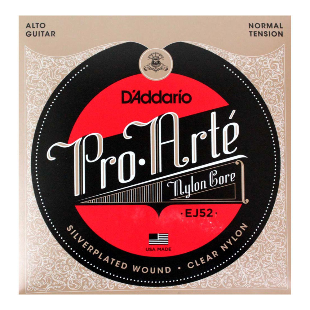 D'Addario EJ52/Alto Guitar×10セット